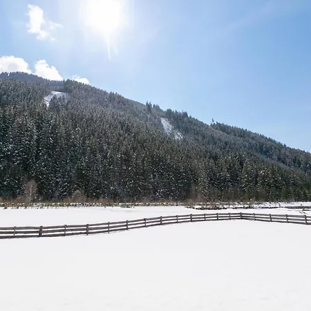 Pinzgau 1a